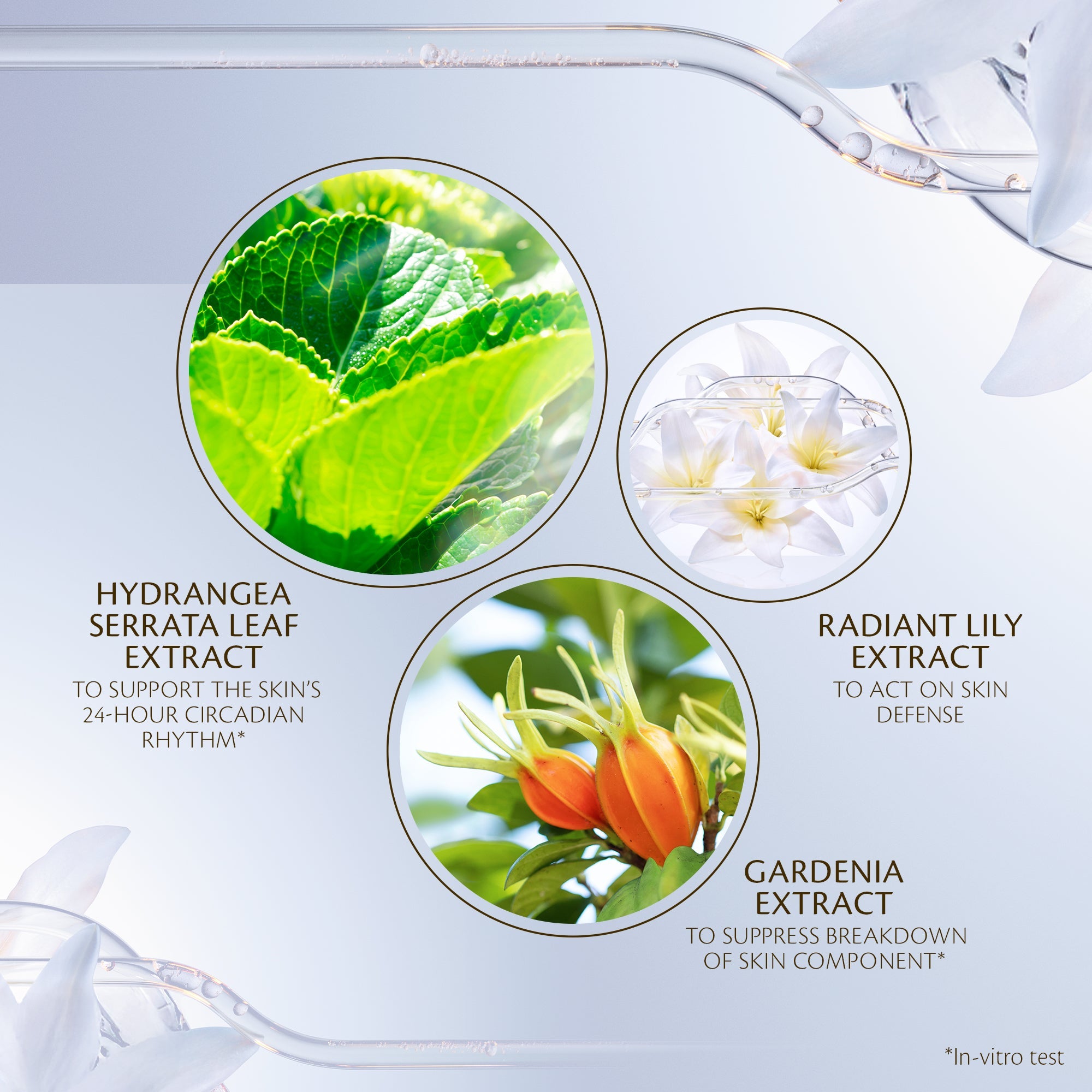 s/files/1/0911/6739/2086/files/10122659301_5.jpg?v=1772624185