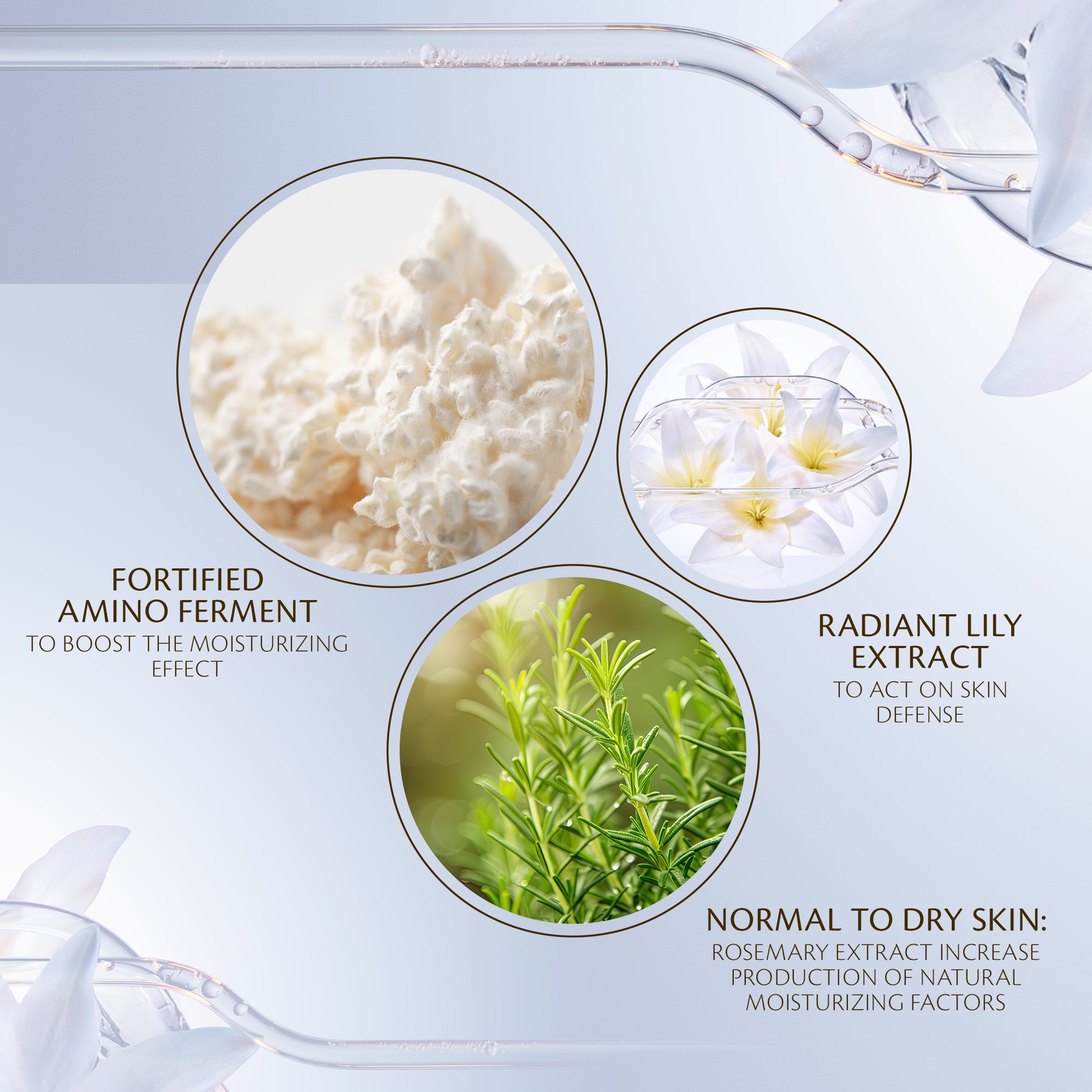 Hydro-softening Essence Lotion