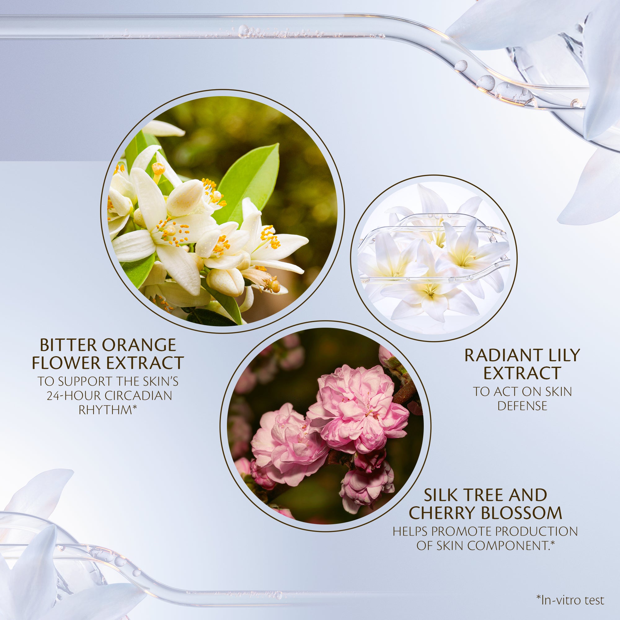 Advanced Intensive Night Cream