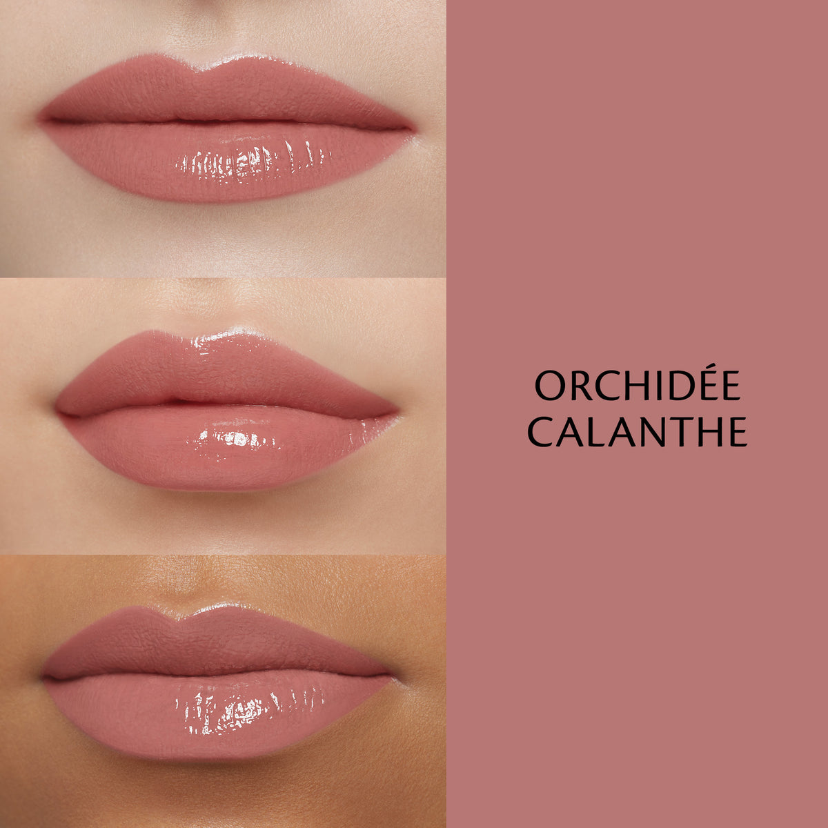 Cream Rouge Shine
