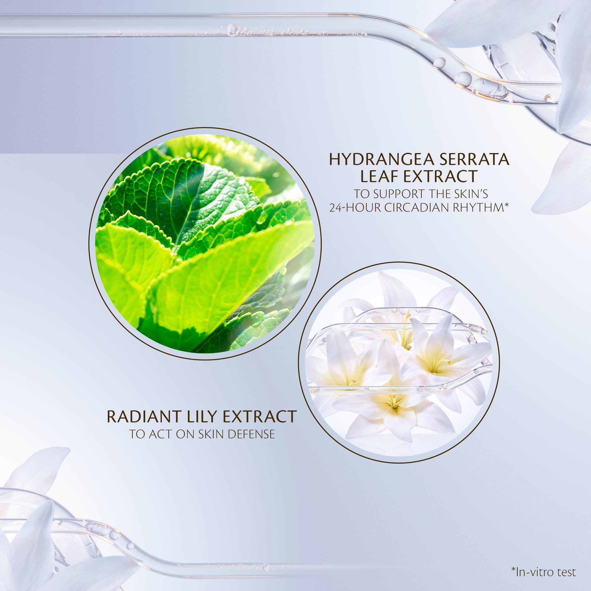 s/files/1/0911/6739/2086/files/10122649301_5.jpg?v=1772624132